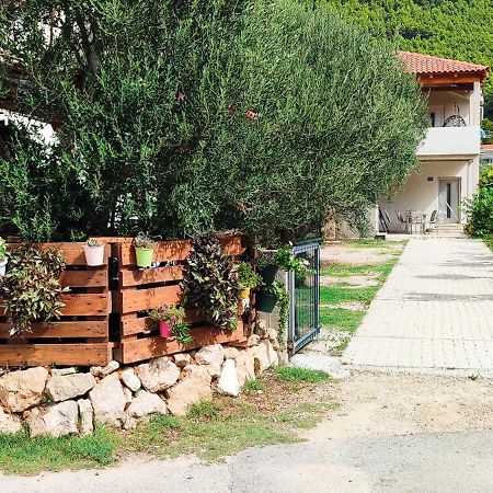 Apartmani Maslina Žuljana Esterno foto