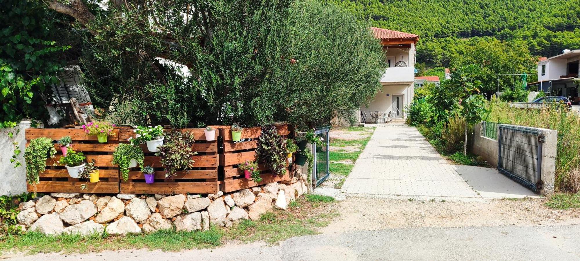 Apartmani Maslina Žuljana Esterno foto