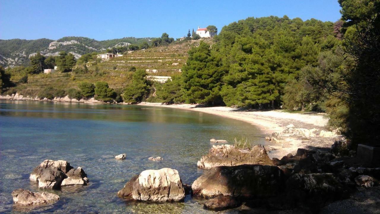 Apartmani Maslina Žuljana Esterno foto