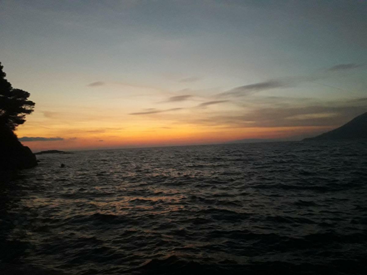 Apartmani Maslina Žuljana Esterno foto